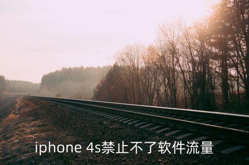 iphone 4s禁止不了软件流量