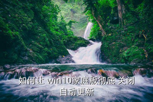 如何让 win10家庭版彻底 关闭自动更新