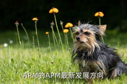 apm 数据最大流量