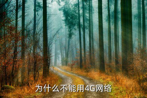 联通数据副卡无法4g,联通无法办理副卡怎么办