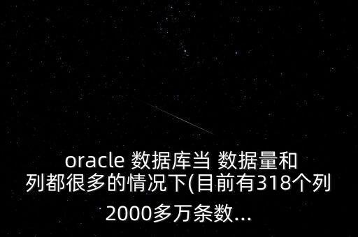  oracle 数据库当 数据量和列都很多的情况下(目前有318个列2000多万条数...