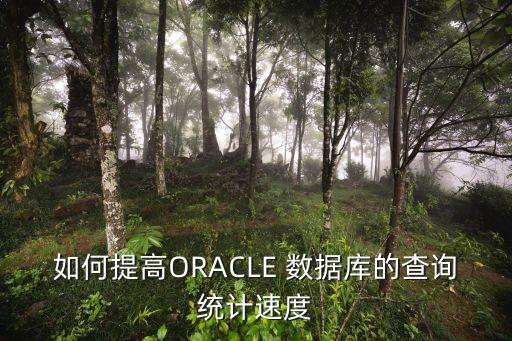 如何提高oracle 数据库的查询统计速度