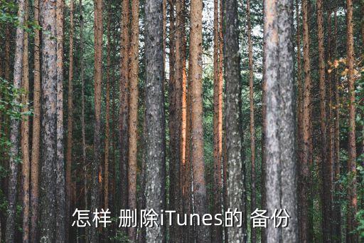 怎样 删除itunes的 备份