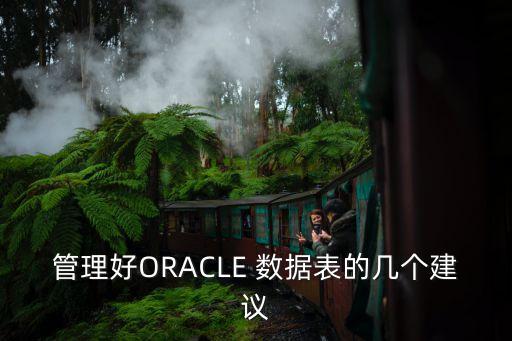 管理好oracle 数据表的几个建议