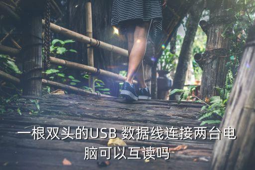 一根双头的usb 数据线连接两台电脑可以互读吗