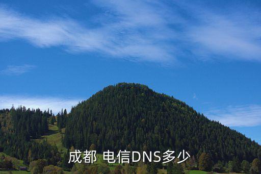 成都 电信dns多少