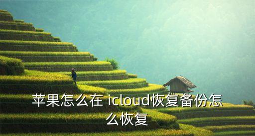 苹果怎么在 icloud恢复备份怎么恢复