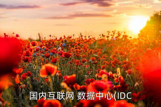 国内互联网 数据中心(idc