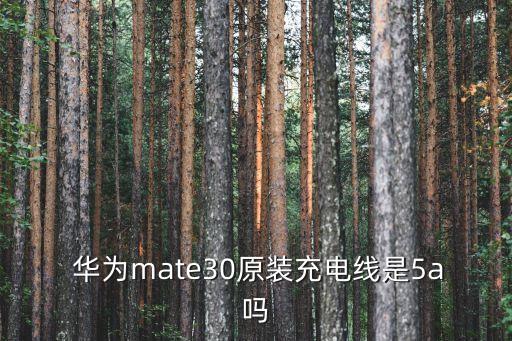  华为mate30原装充电线是5a吗