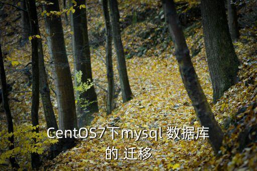 centos7下mysql 数据库的 迁移