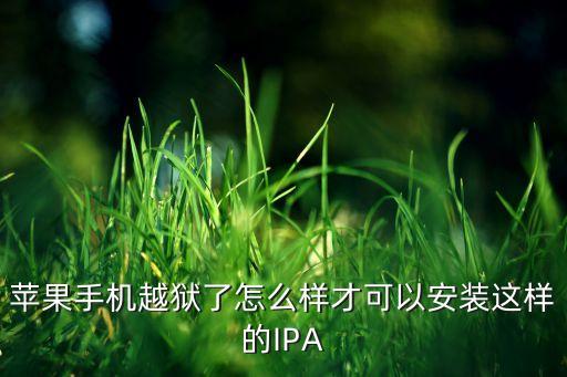 ipa 非原装 数据线 关机充电