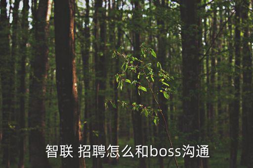  智联 招聘怎么和boss沟通