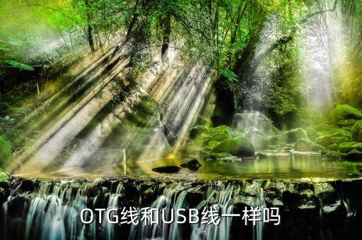 otg线和usb线一样吗