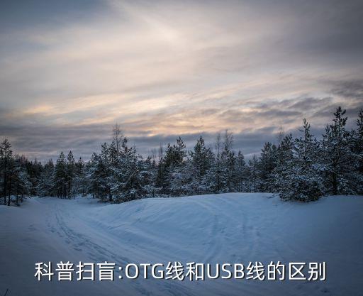 科普扫盲:otg线和usb线的区别