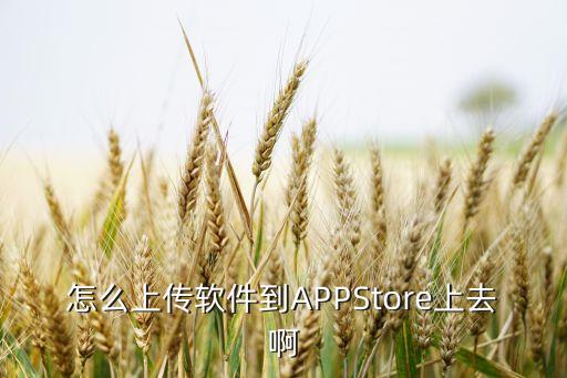 怎么上传软件到appstore上去啊