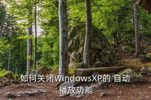 如何关闭windowsxp的 自动 播放功能