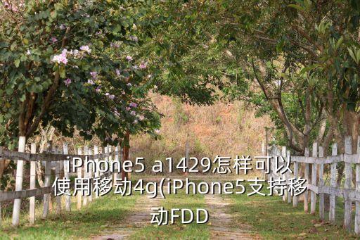 iphone5 a1429怎样可以使用移动4g(iphone5支持移动fdd