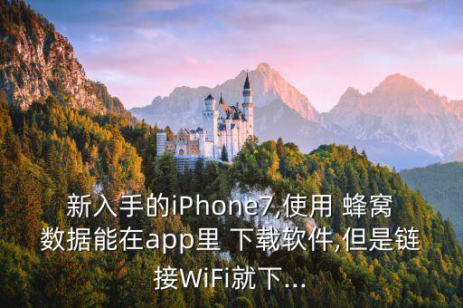 新入手的iphone7,使用 蜂窝数据能在app里 下载软件,但是链接wifi就下...