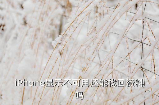 iphone显示不可用还能找回资料吗