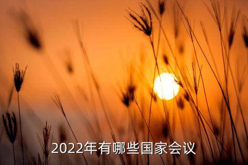 2022年有哪些国家会议