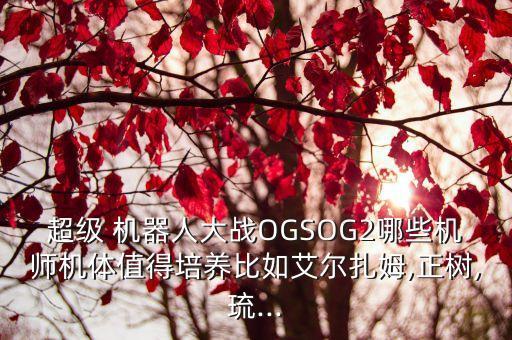 超级 机器人大战ogsog2哪些机师机体值得培养比如艾尔扎姆,正树,琉...