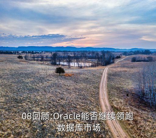 08回顾:oracle能否继续领跑 数据库市场