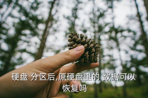 硬盘 分区后,原硬盘里的 数据可以 恢复吗