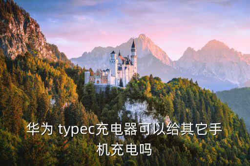 华为 typec充电器可以给其它手机充电吗