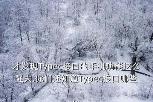 才发现typec接口的手机功能这么强大,你们还知道typec接口哪些...