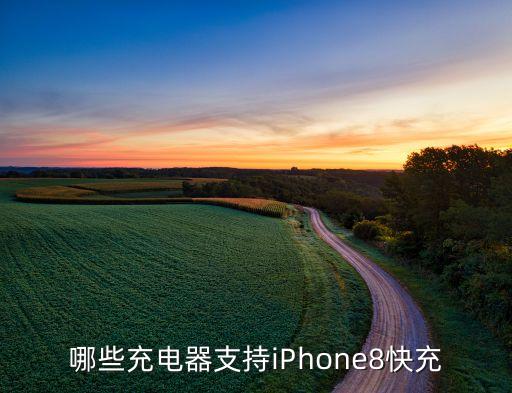 哪些充电器支持iphone8快充