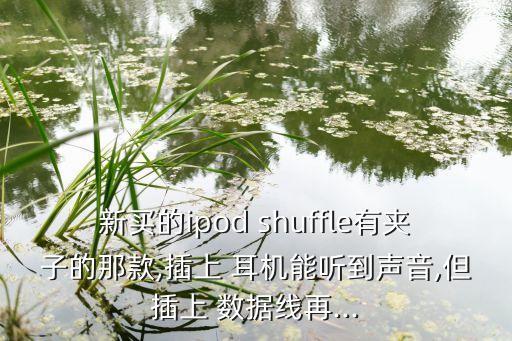 新买的ipod shuffle有夹子的那款,插上 耳机能听到声音,但插上 数据线再...