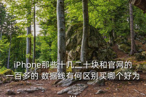 iphone那些十几二十块和pg电子游戏试玩平台网站官网的一百多的 数据线有何区别买哪个好为...