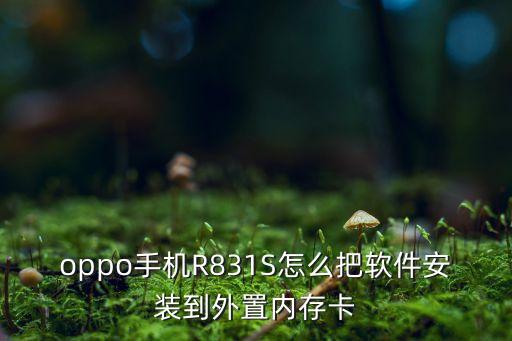 oppo手机r831s怎么把软件安装到外置内存卡