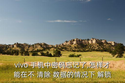 vivo 手机中密码忘记了,怎样才能在不 清除 数据的情况下 解锁