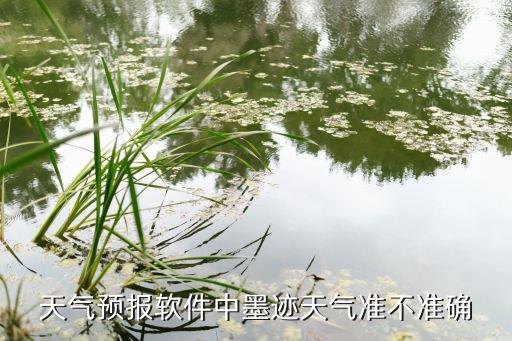 天气预报软件中墨迹天气准不准确