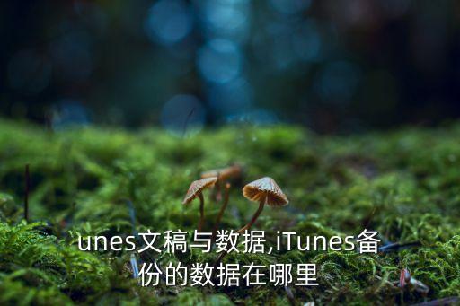 itunes文稿与数据,itunes备份的数据在哪里