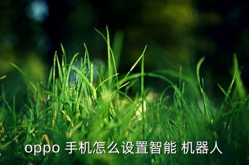 oppo 手机怎么设置智能 机器人