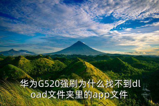  华为g520强刷为什么找不到dload文件夹里的app文件