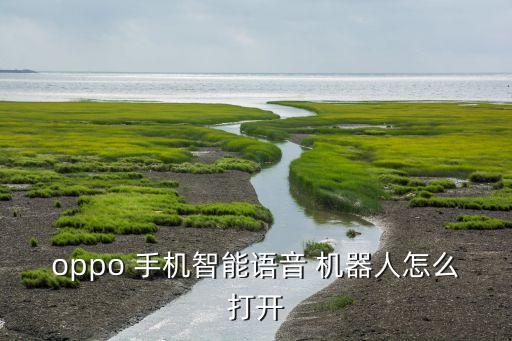 oppo 手机智能语音 机器人怎么打开