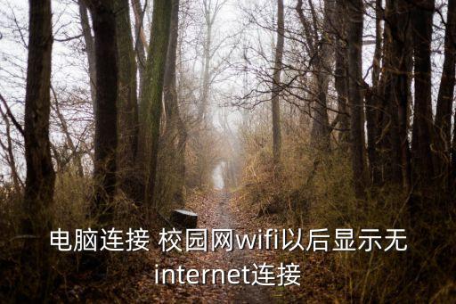 电脑连接 校园网wifi以后显示无internet连接