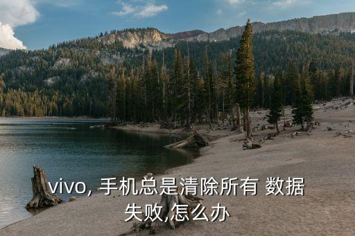 vivo, 手机总是清除所有 数据失败,怎么办