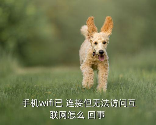  手机wifi已 连接但无法访问互联网怎么 回事