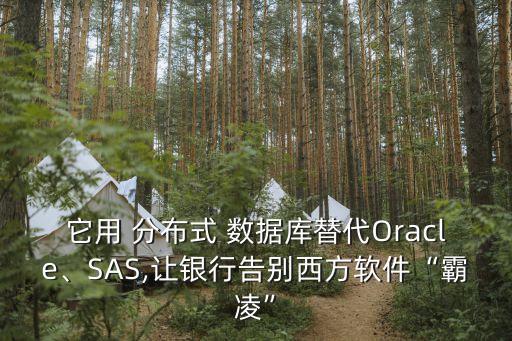 它用 分布式 数据库替代oracle、sas,让银行告别西方软件“霸凌”