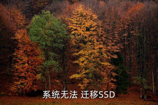 系统无法 迁移ssd