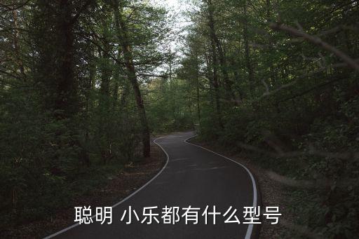 聪明 小乐都有什么型号