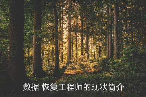  数据 恢复工程师的现状简介