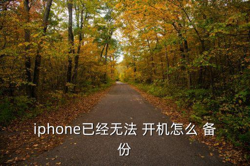 iphone已经无法 开机怎么 备份