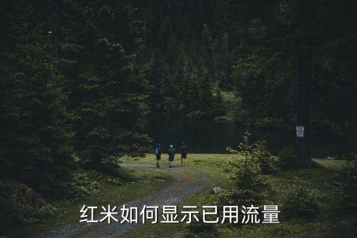  红米如何显示已用流量