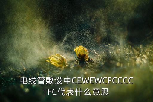 电线管敷设中cewewcfcccctfc代表什么意思