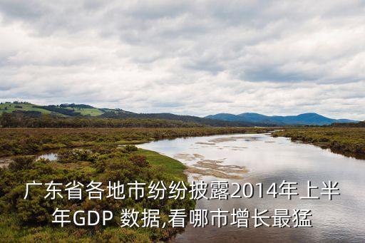 广东省各地市纷纷披露2014年上半年gdp 数据,看哪市增长最猛